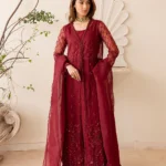 Luxury Pakistani dresses