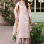 Pakistani Luxury Festive dress