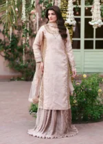 Pakistani Luxury Festive dress