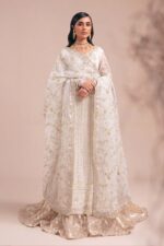 Luxury Pakistani dresses