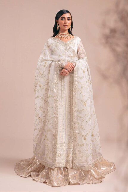 Luxury Pakistani dresses