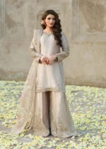 Pakistani Luxury Formal dresses