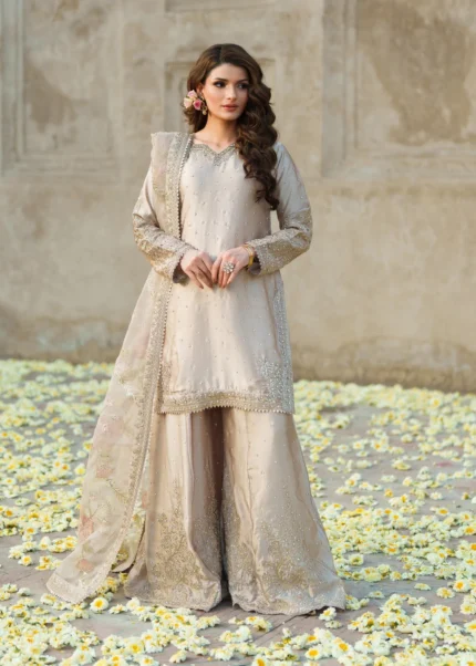 Pakistani Luxury Formal dresses