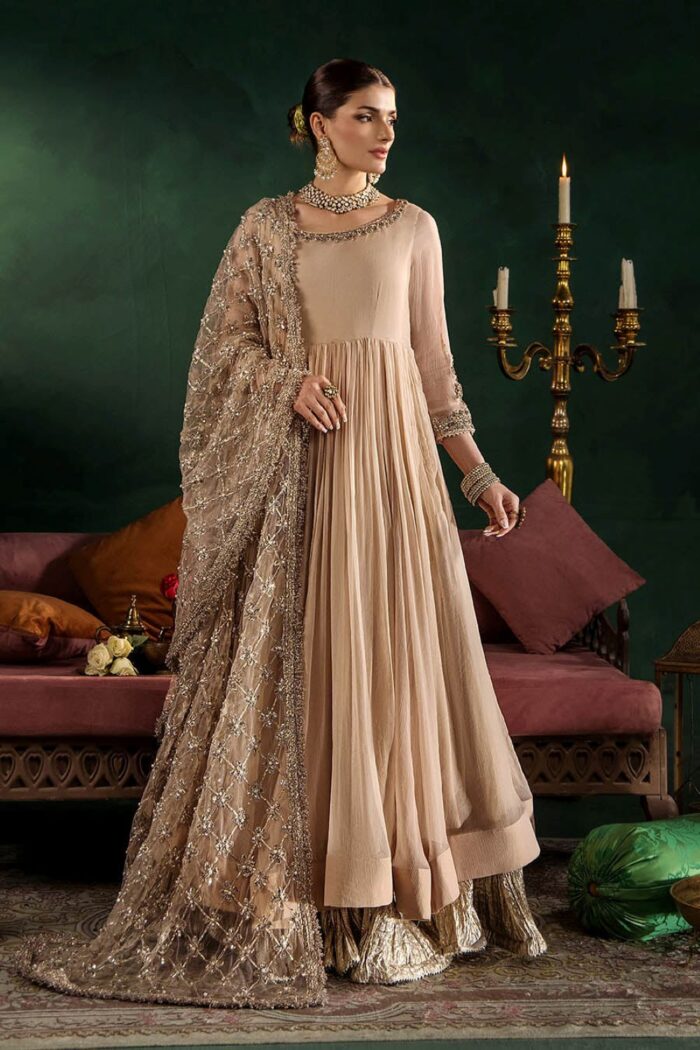 Luxury Formals Pakistani Dresses