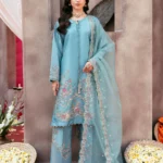 Luxury Festive Pakistani dress