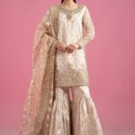 Luxury Formals Pakistani Dresses