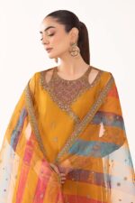 Luxury Formals Pakistani Dresses