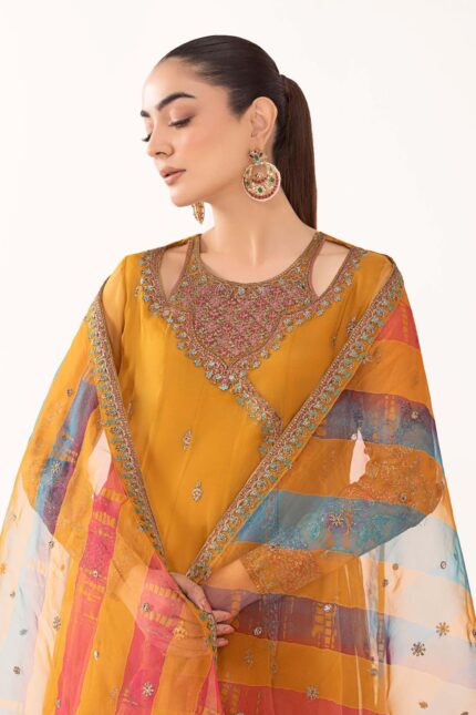 Luxury Formals Pakistani Dresses