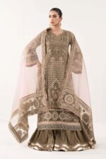 Luxury Formals Pakistani dresses