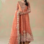Luxury Formals Pakistani Dresses