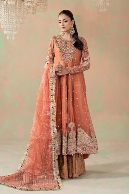Luxury Formals Pakistani Dresses