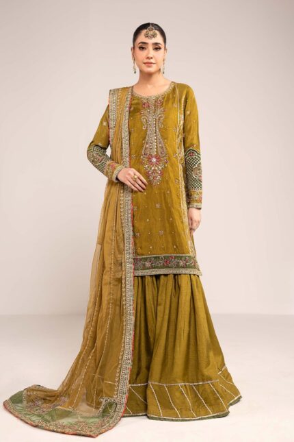 Luxury Formals Pakistani Dresses