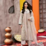 Luxury Festive Pakistani Collection