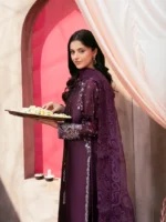 Ally's Official | 3 Piece Embroidered Silk Suit with Embossed Organza Dupatta & Palazzo | VIRSA VX-151 | Ready To Wear - Image 5