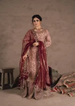 Pakistani Luxury Formal dresses