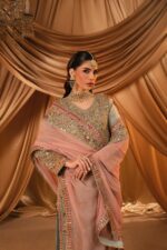 Haseens Official | 4 Piece  Embroidered Chiffon Long kurta - Sahar | Ready To Wear - Image 11