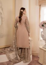 Haseens Official | 4 Piece Beige Embroidered Net Gharara Set with Potli - Arshia | Ready To Wear - Image 4
