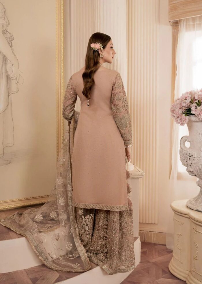 Haseens Official | 4 Piece Beige Embroidered Net Gharara Set with Potli - Arshia | Ready To Wear - Image 4