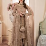 Luxury Festive Wear Pakistani dresses