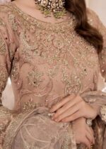 Haseens Official | 4 Piece Beige Embroidered Net Gharara Set with Potli - Arshia | Ready To Wear - Image 2