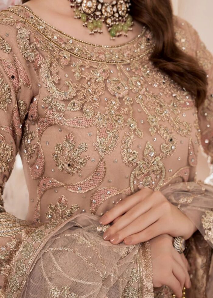 Haseens Official | 4 Piece Beige Embroidered Net Gharara Set with Potli - Arshia | Ready To Wear - Image 2