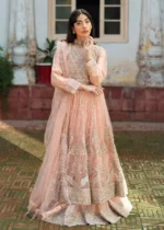 Haseens Official | 3 Piece Formal Baby Pink Net Straight Cut Wedding Maxi –  Nurayaa | Ready To Wear - Image 2