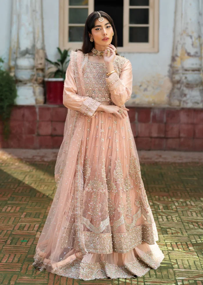 Haseens Official | 3 Piece Formal Baby Pink Net Straight Cut Wedding Maxi –  Nurayaa | Ready To Wear - Image 2
