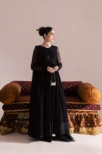 Luxury Pakistani dresses