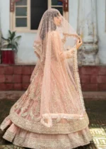 Haseens Official | 3 Piece Formal Baby Pink Net Straight Cut Wedding Maxi –  Nurayaa | Ready To Wear - Image 5