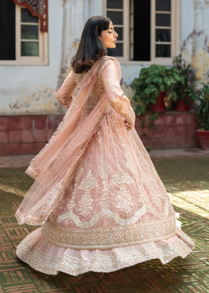 Haseens Official | 3 Piece Formal Baby Pink Net Straight Cut Wedding Maxi –  Nurayaa | Ready To Wear - Image 4
