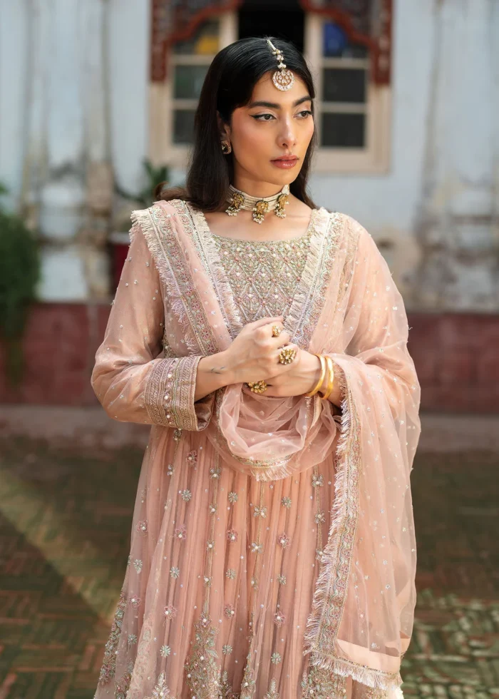 Haseens Official | 3 Piece Formal Baby Pink Net Straight Cut Wedding Maxi –  Nurayaa | Ready To Wear - Image 3