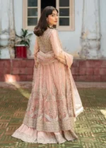 Haseens Official | 3 Piece Formal Baby Pink Net Straight Cut Wedding Maxi –  Nurayaa | Ready To Wear - Image 9