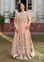 Pakistani branded Dresses in Uk