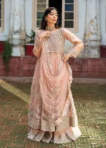 Haseens Official | 3 Piece Formal Baby Pink Net Straight Cut Wedding Maxi –  Nurayaa | Ready To Wear - Image 8