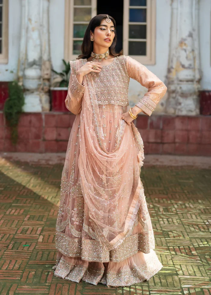 Haseens Official | 3 Piece Formal Baby Pink Net Straight Cut Wedding Maxi –  Nurayaa | Ready To Wear - Image 8