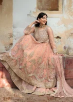 Haseens Official | 3 Piece Formal Baby Pink Net Straight Cut Wedding Maxi –  Nurayaa | Ready To Wear - Image 10