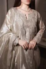 Luxury Formals Pakistani Dresses