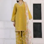 Luxury Pakistani Brandred dress Online