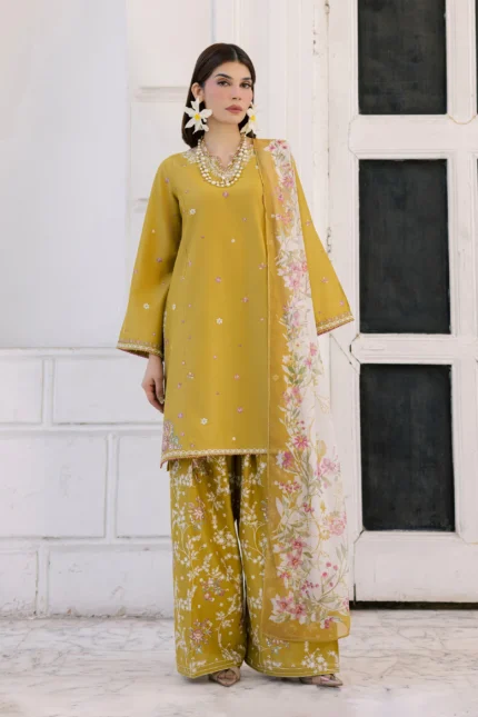 Luxury Pakistani Brandred dress Online