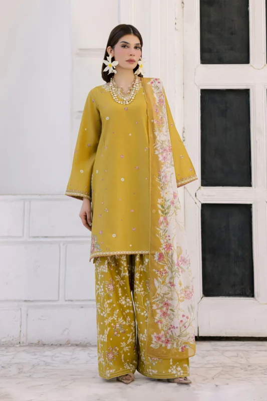 Luxury Pakistani Brandred dress Online