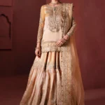 Luxury Formals Pakistani Niakkah Dress