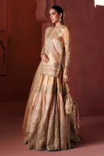 Maryum N Maria | 3 Piece Peach Shimmer Zari Tissue Sharara Set – Nikkah Ritual MSS5901 | Ready To Wear - Image 3