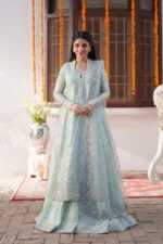 Luxury Formal Pakistani Dresses Online
