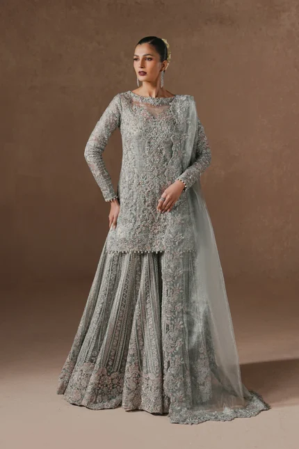 Luxury Formals Pakistani Dresses