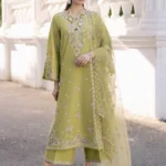 Luxury Pakistani Brandred dress Online