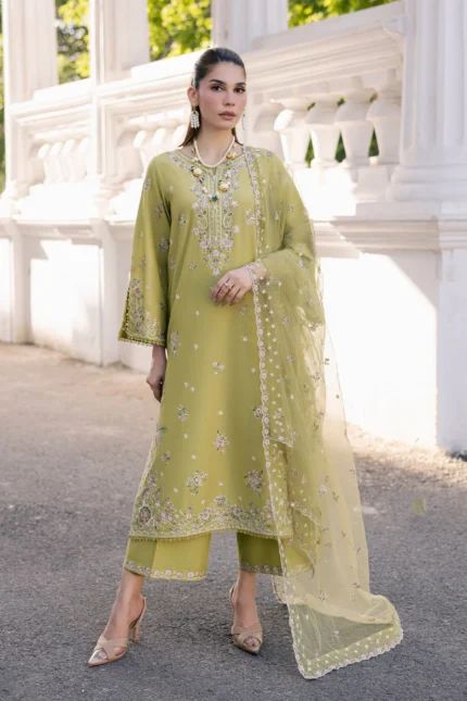 Luxury Pakistani Brandred dress Online