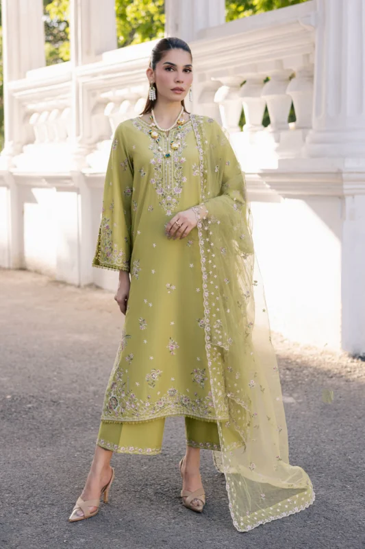 Luxury Pakistani Brandred dress Online