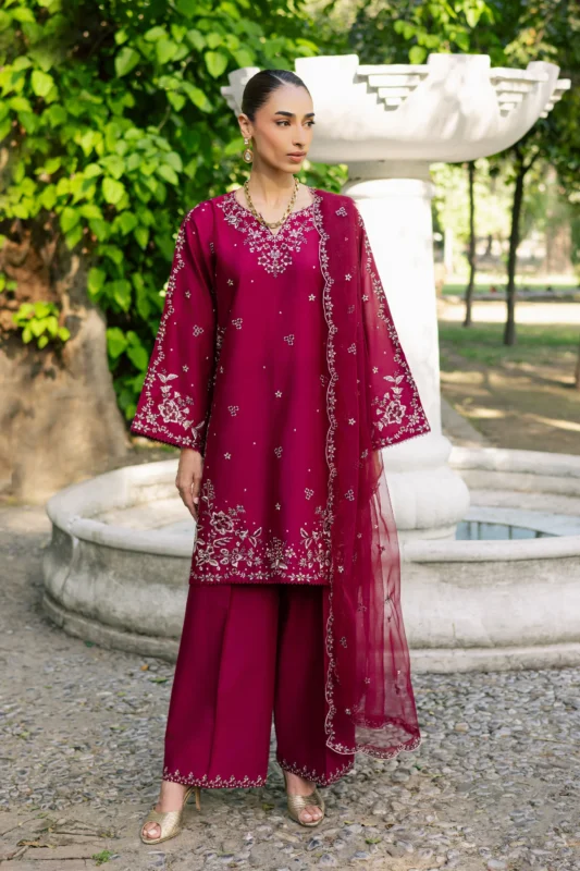 Luxury Pakistani Brandred dress Online