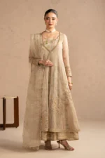 Luxury Formal Pakistani Dresses Online