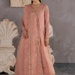 Luxury Pakistani Festive Collection